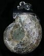 Fossil Ammonite Pendant - Million Years #4273-1
